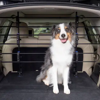 Chewy ChatGPT ad: PetSafe Happy Ride Tubular Metal Dog Barrier