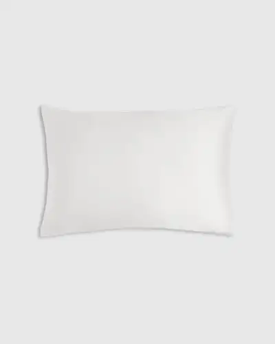 Quince ChatGPT ad: 100% Mulberry Silk Pillowcase
