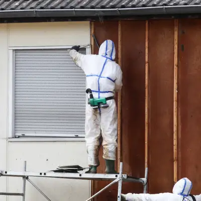 Angi ChatGPT ad: Local Mold Removal