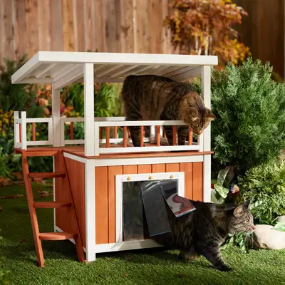 Chewy ChatGPT ad: Frisco Outdoor Wooden Cat House with Balcony & Step Ladder, Brown