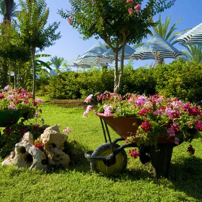 Angi ChatGPT ad: Landscape Design Pros