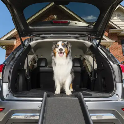 Chewy ChatGPT ad: PetSafe Happy Ride Foldable Dog Car Ramp, 62-in