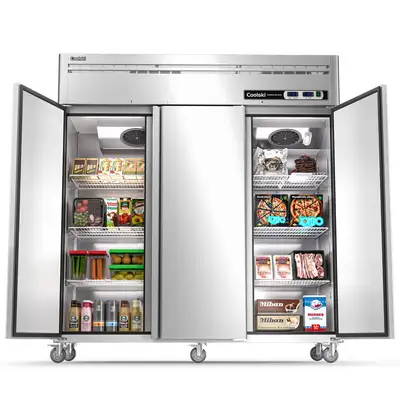 Wayfair ChatGPT ad: 72" Stainless Steel Commercial Refrigerator & Freezer Combo by Digitale Essentials
